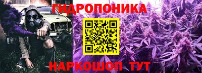 стафф Абакан