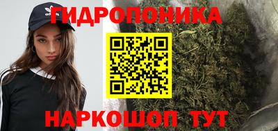 стафф Абакан
