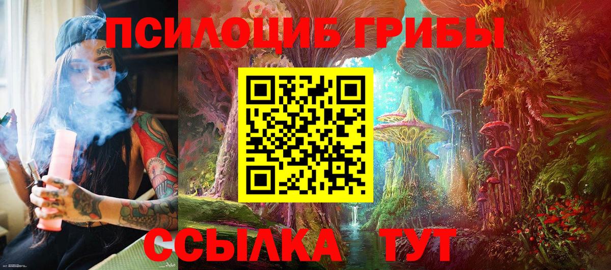 Псилоцибиновые грибы ЛСД Азнакаево
