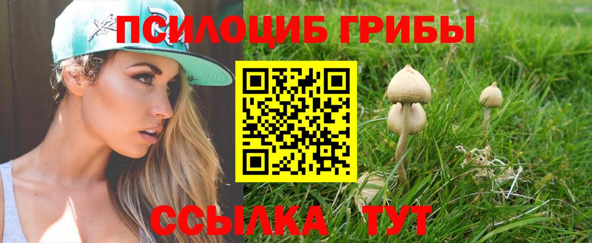 Азнакаево  Псилоцибиновые грибы мицелий  наркотики  Вход с VPN  Галлюциногенные грибы Psilocybe 